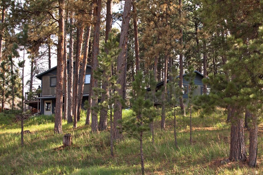 black house on a hill