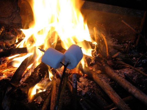 cooking marshmallows over a fire