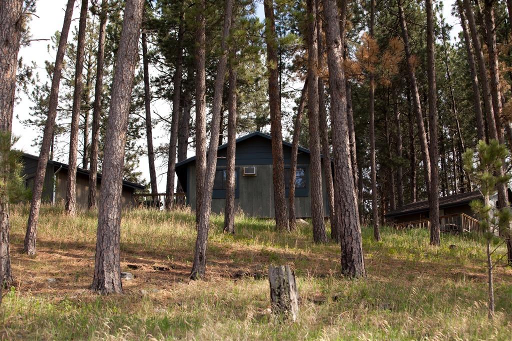 lodge on hill with trees