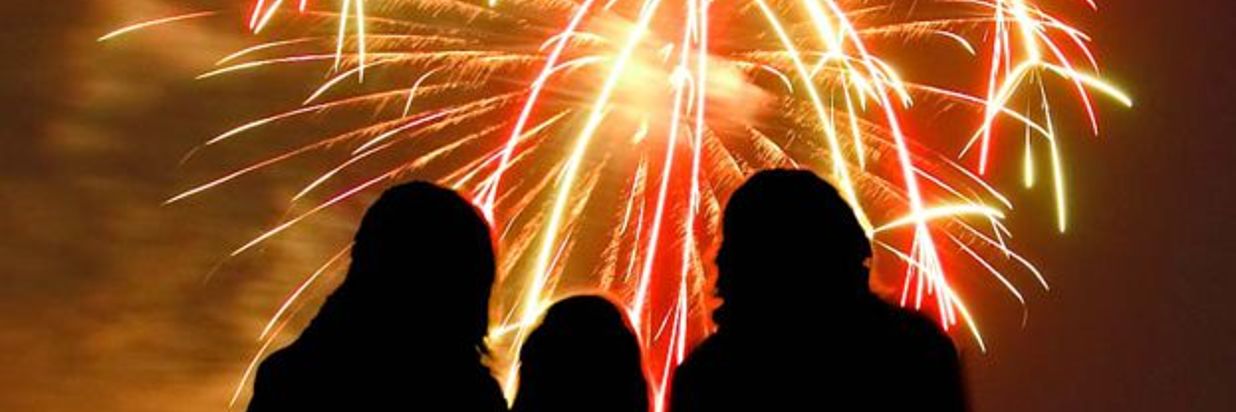 silhouette of family looking at fireworks 