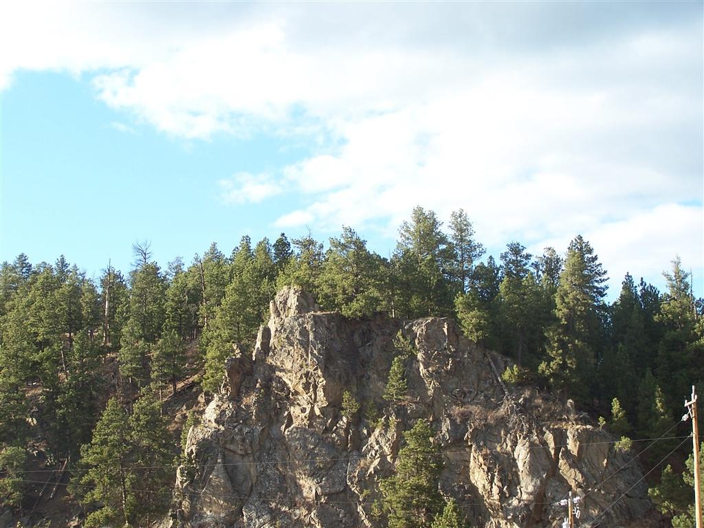 trees on a hill and rock face