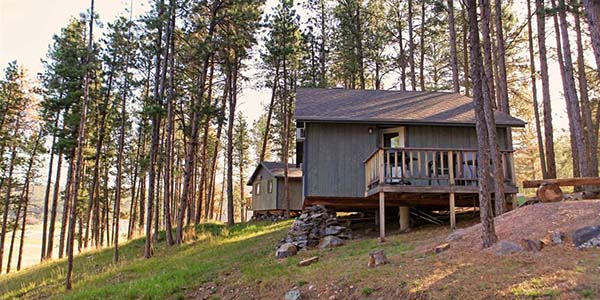 cabin  on hill surrounded by trees